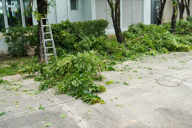 Lawn Pest Prevention in Salem, IL